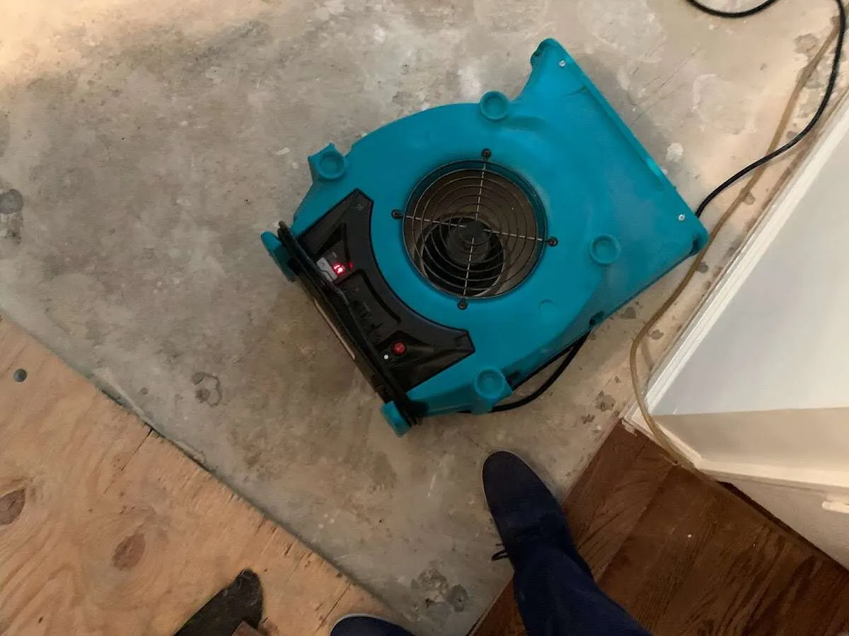 Air mover drying subfloor during Leak Detection & Repair in Rosedale